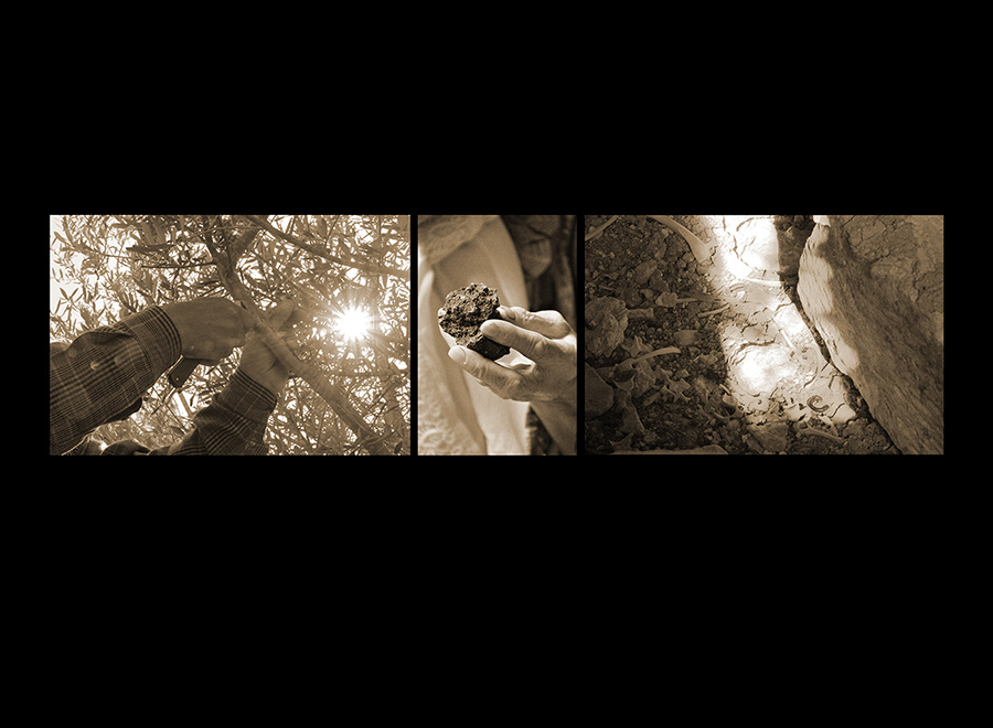 Portraits of Denial & Desire Sepia